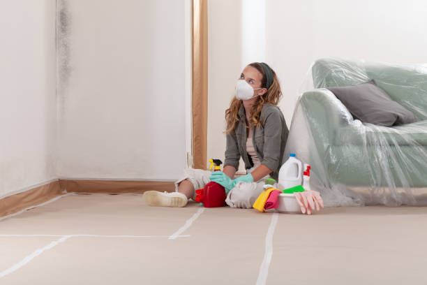 Reliable Mold Testing contractor in Revere, MA by WQB Mold Removal